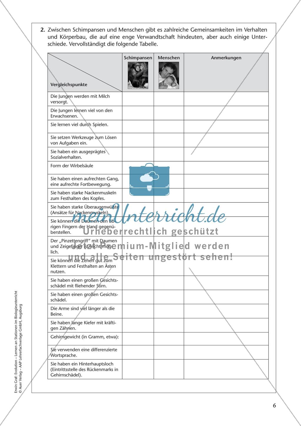 Evolution an Stationen - Die Geschichte des Menschen Preview 8