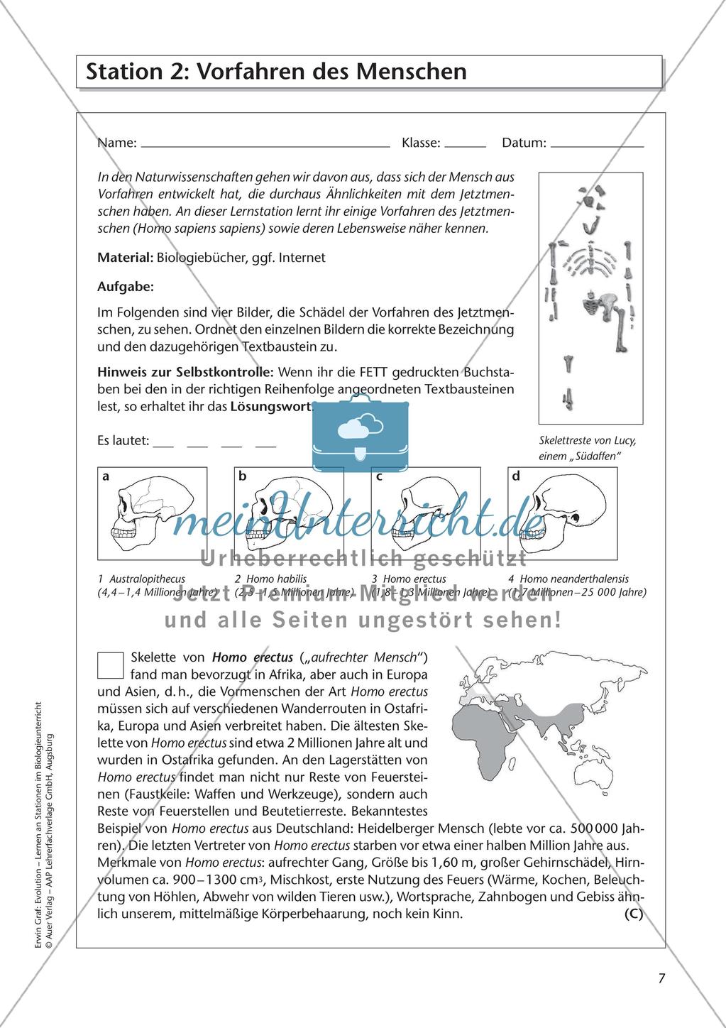 Evolution an Stationen - Die Geschichte des Menschen Preview 9