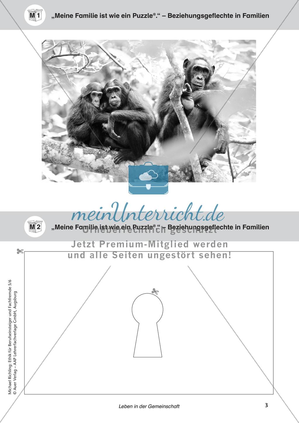 Ethik für Berufseinsteiger und Fachfremde: Leben in der Gemeinschaft Preview 5