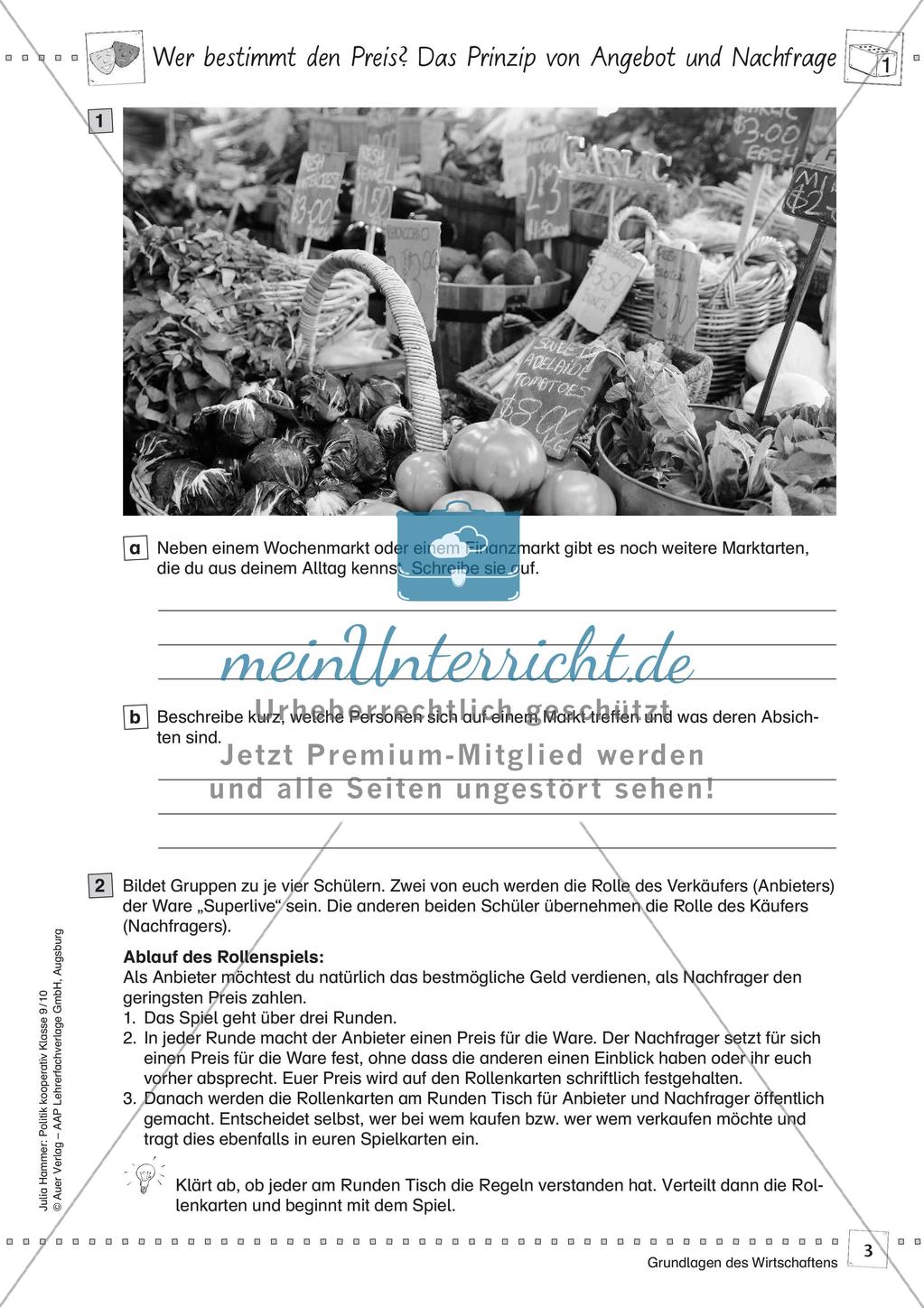 Politik kooperativ: Grundlagen des Wirtschaftens Preview 5