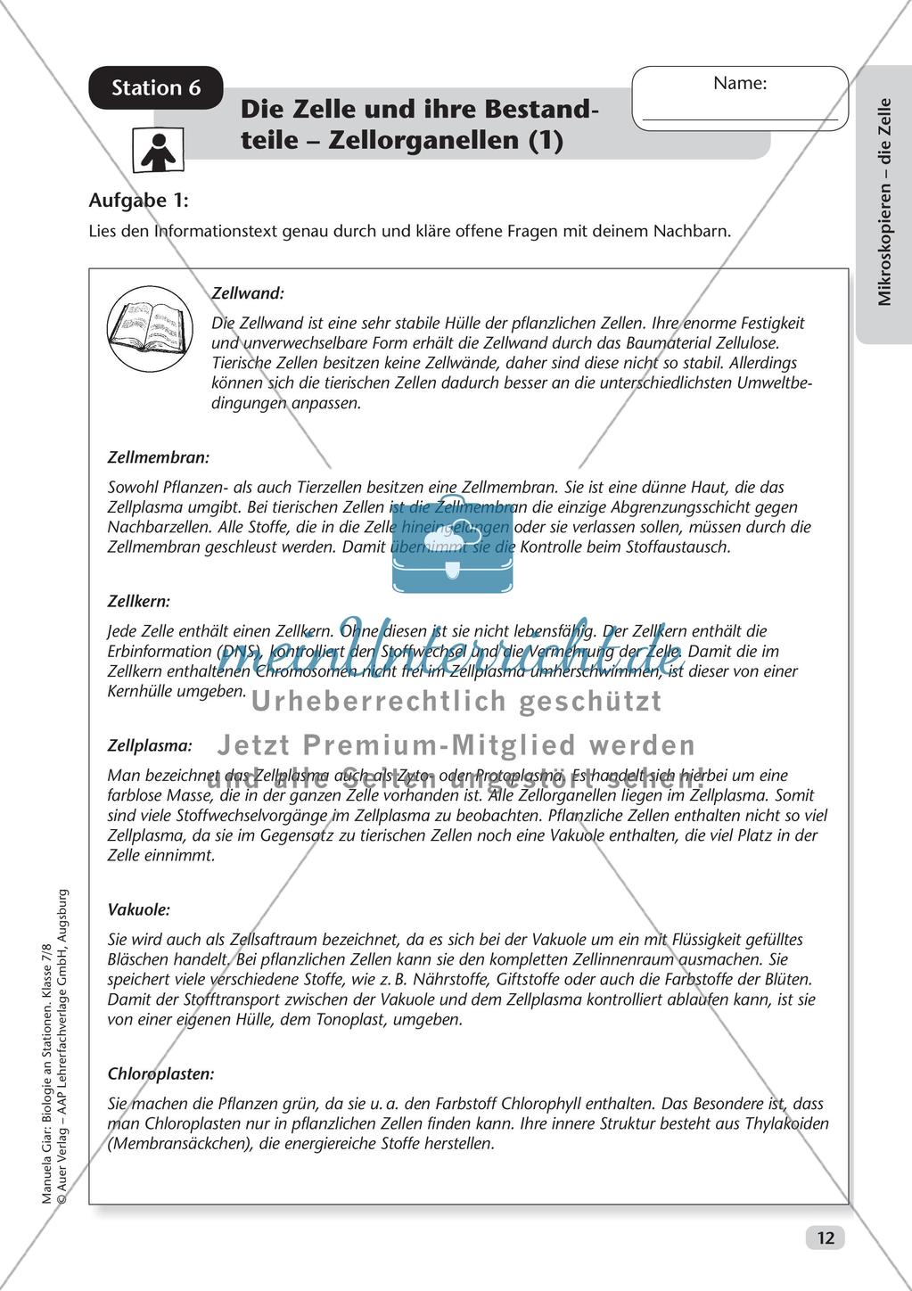 Stationsarbeit zum Thema