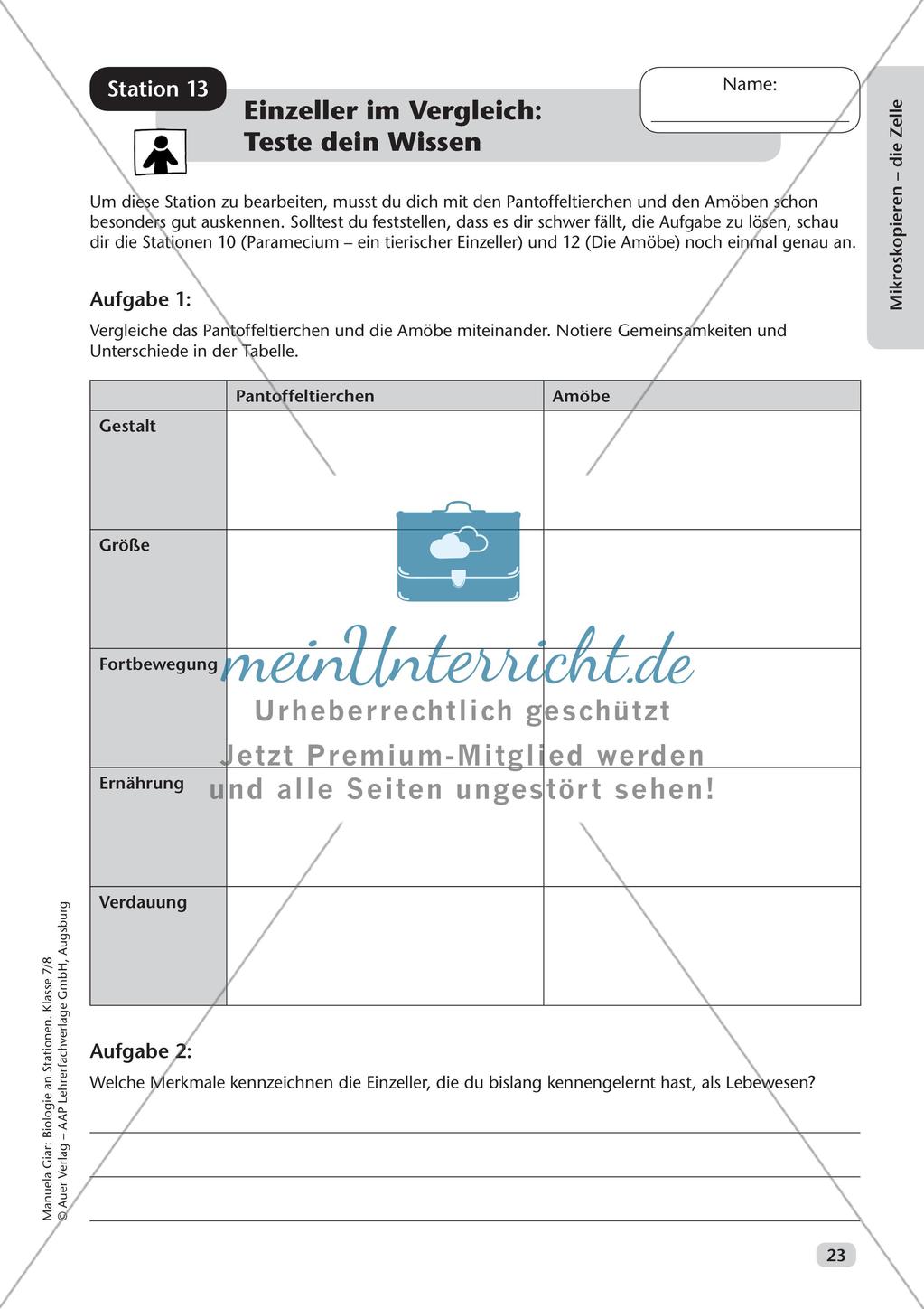 Stationsarbeit zum Thema