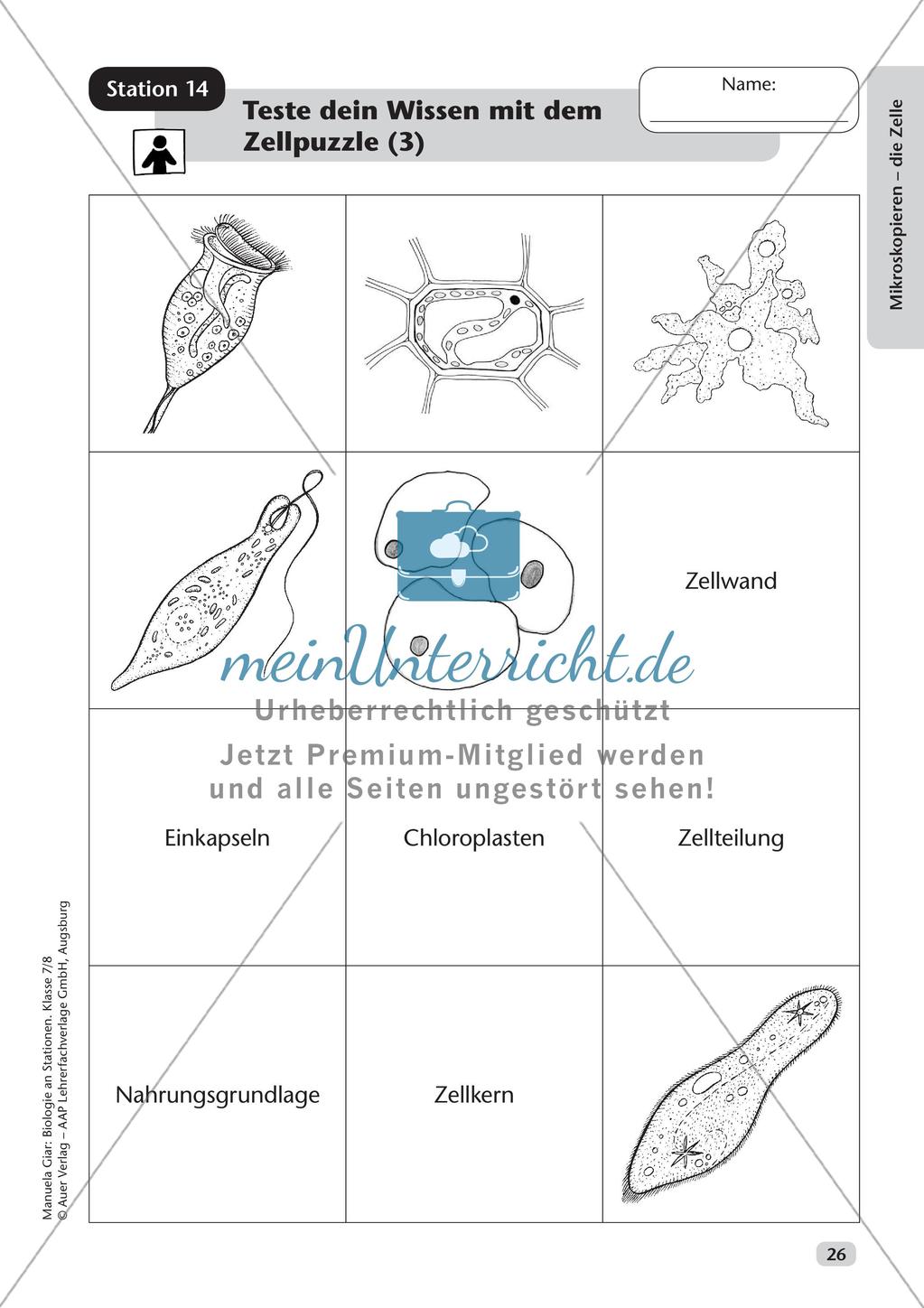 Stationsarbeit zum Thema