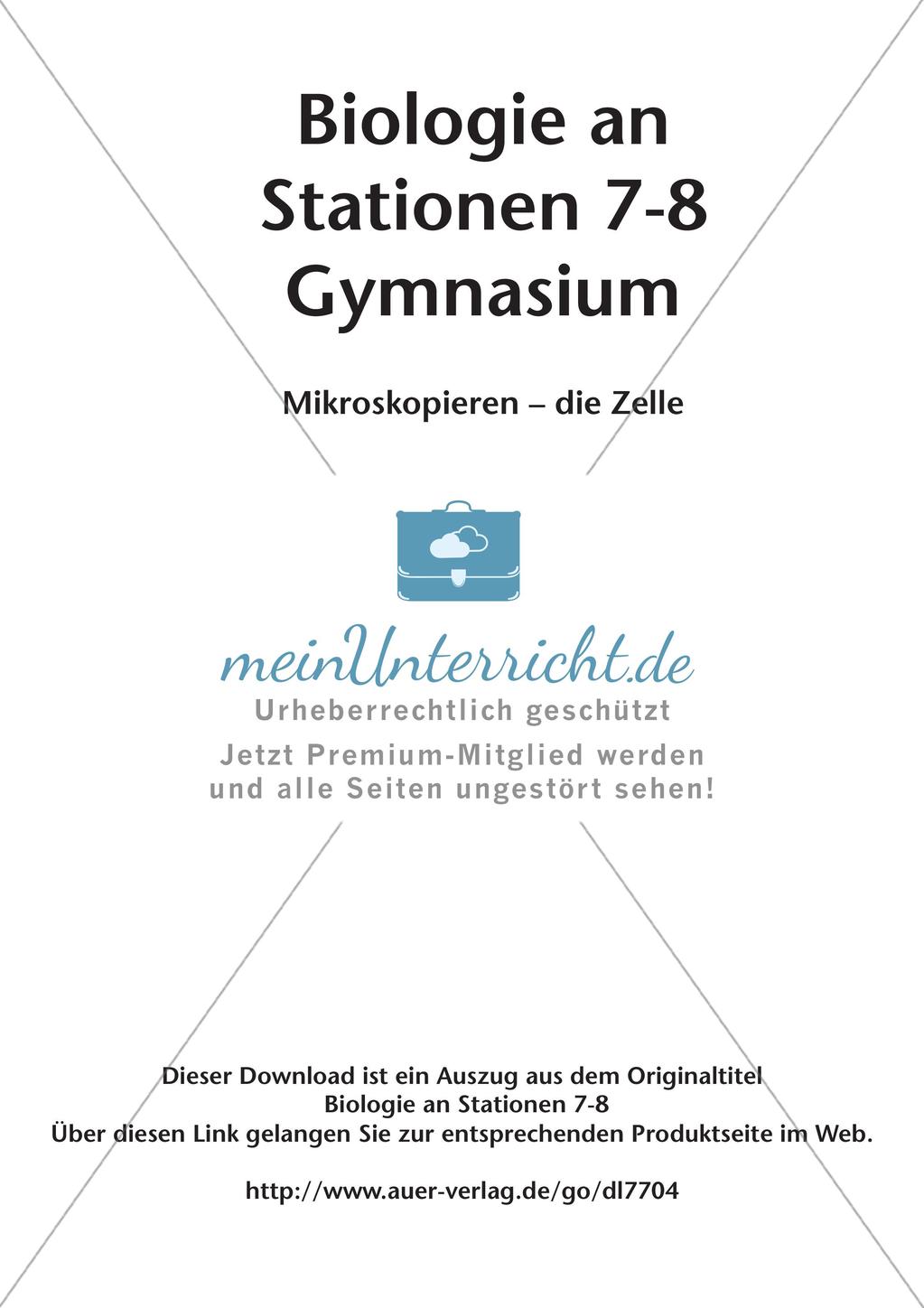 Stationsarbeit zum Thema