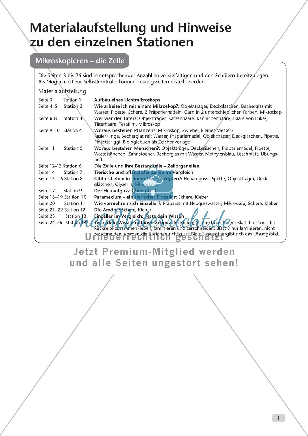 Stationsarbeit zum Thema