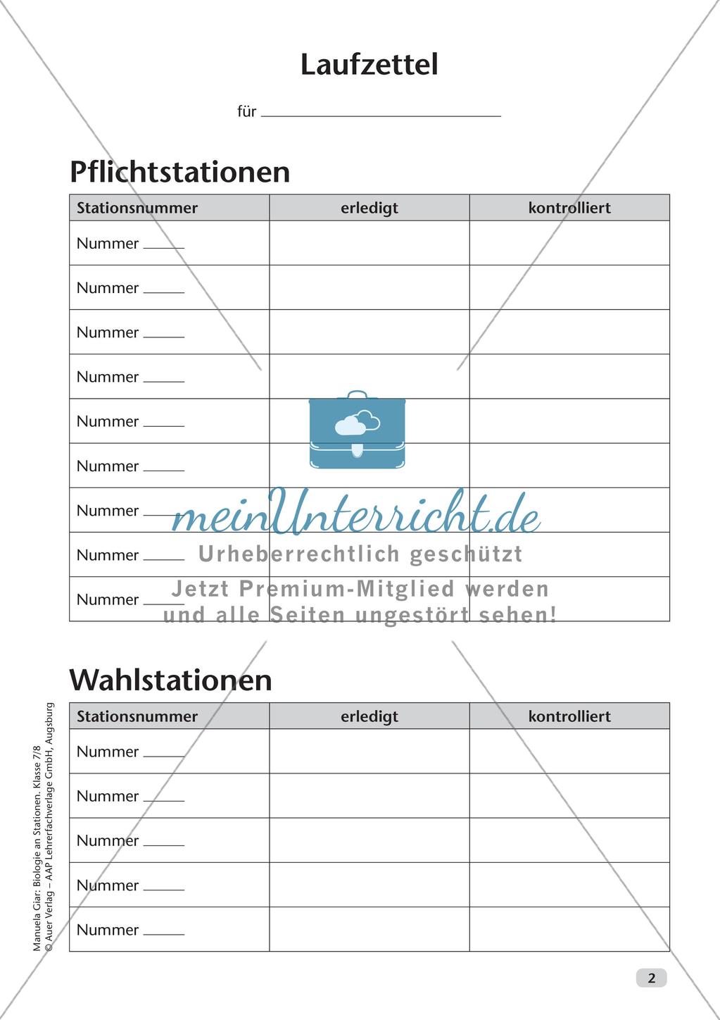 Stationsarbeit zum Thema