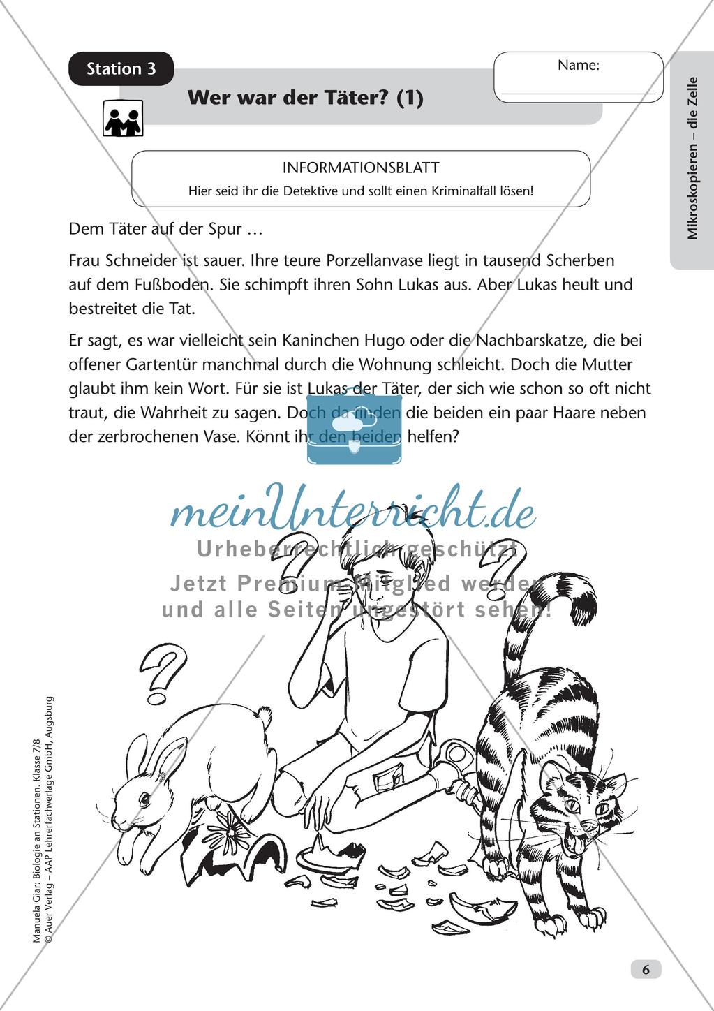 Stationsarbeit zum Thema