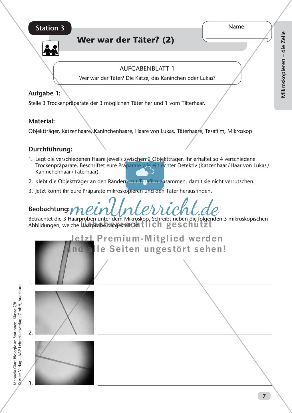 Stationsarbeit zum Thema