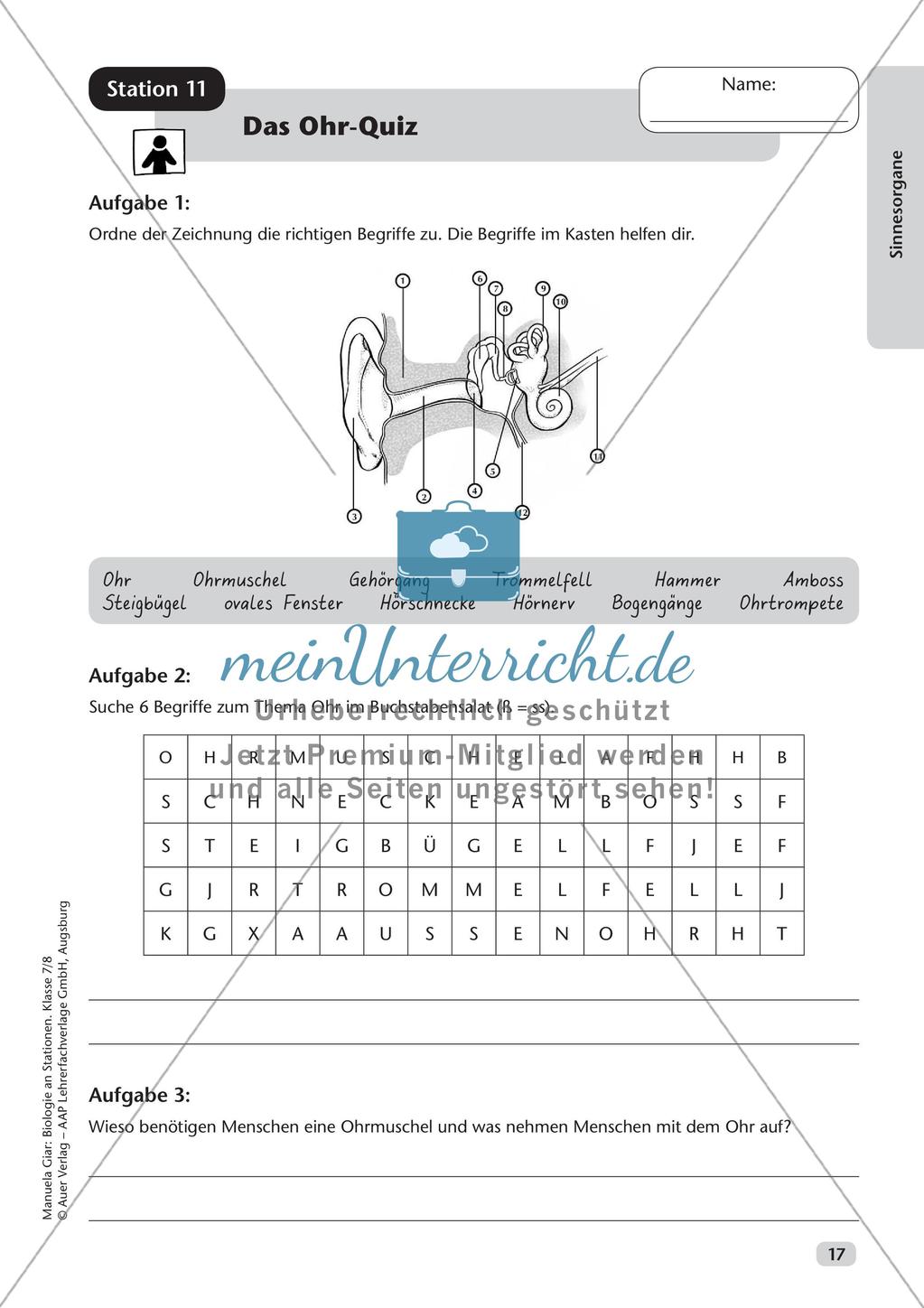 Stationsarbeit zum Thema