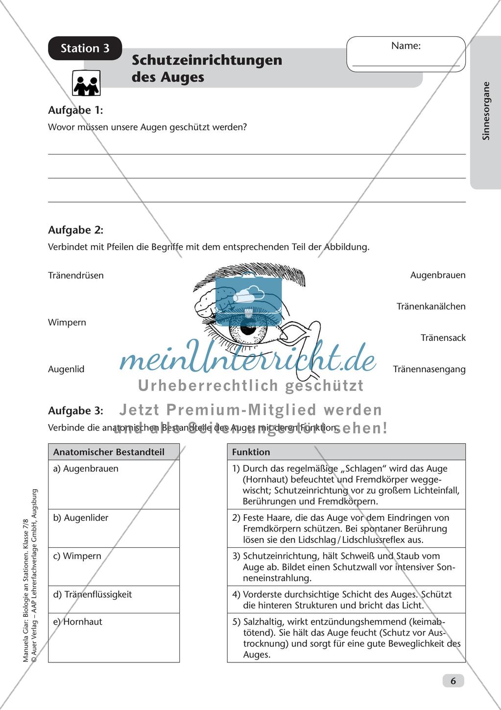 Stationsarbeit zum Thema