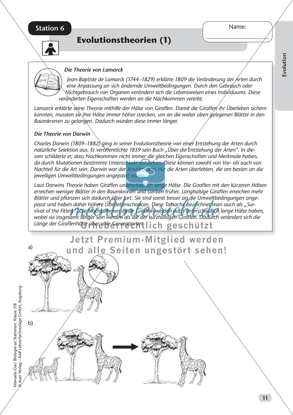 Stationsarbeit zum Thema