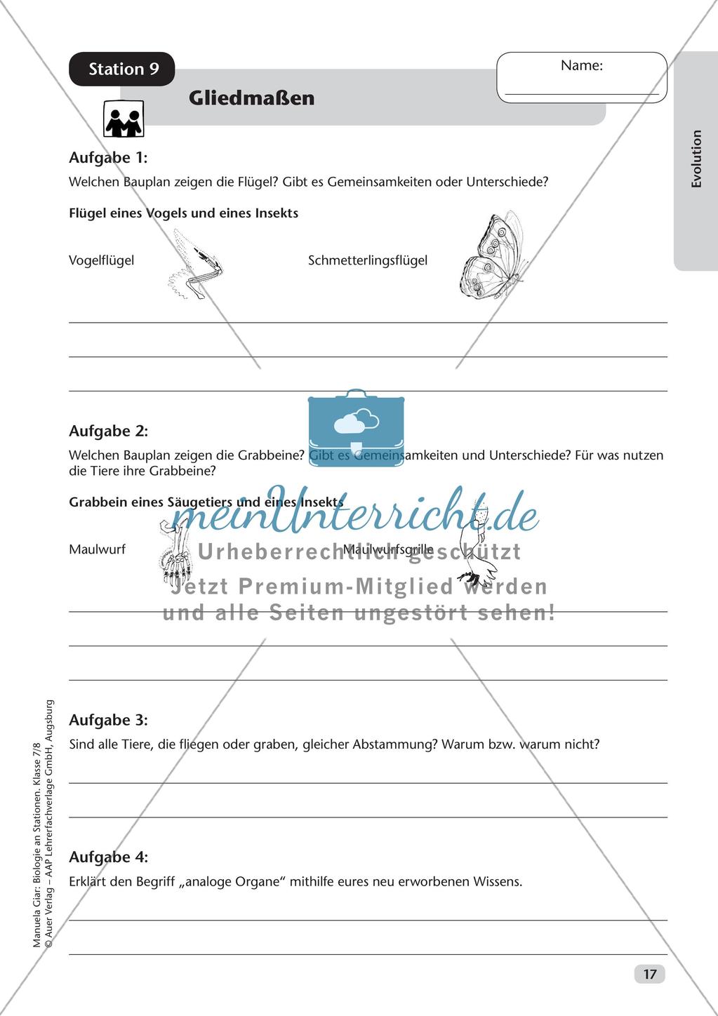 Stationsarbeit zum Thema