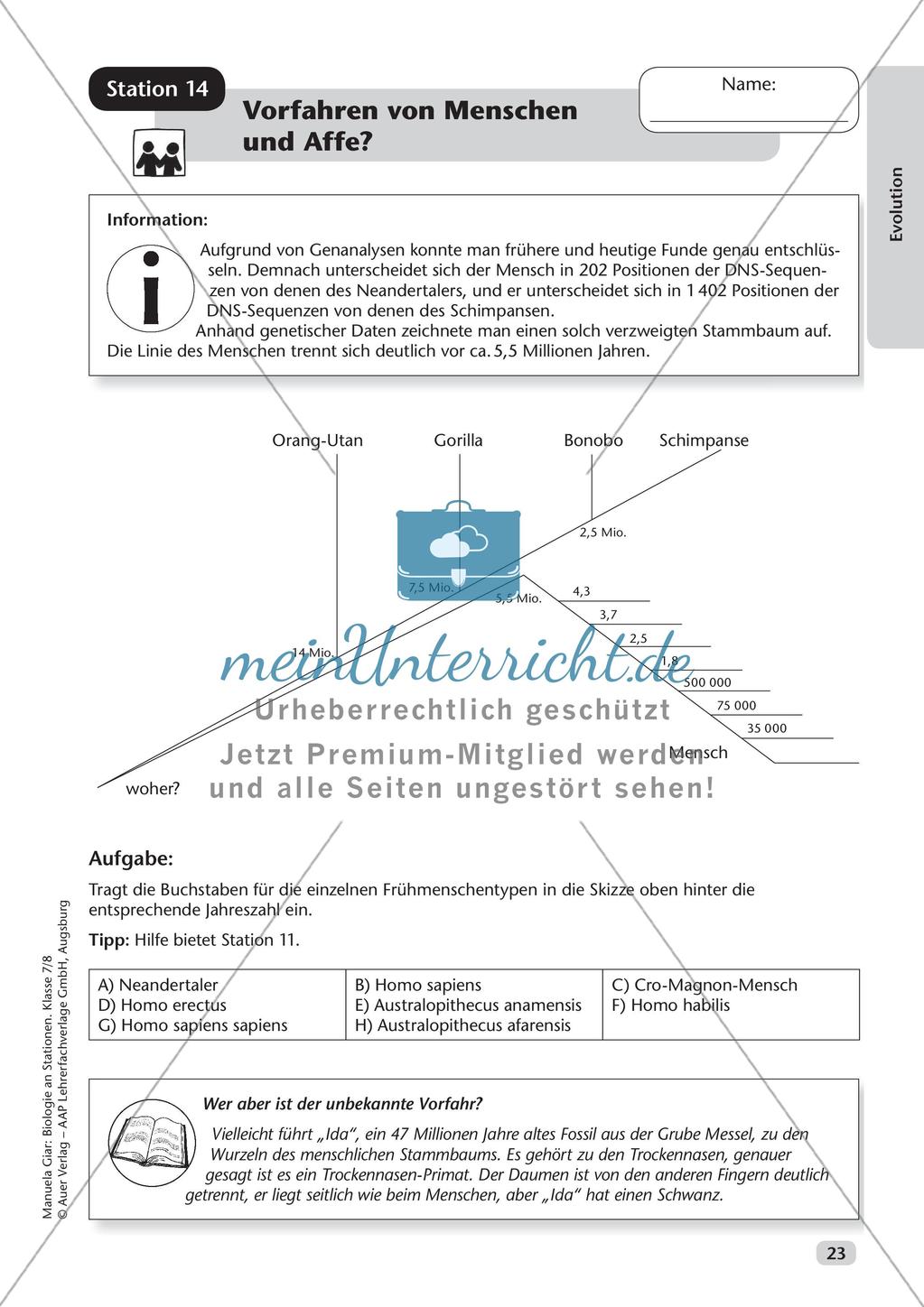 Stationsarbeit zum Thema