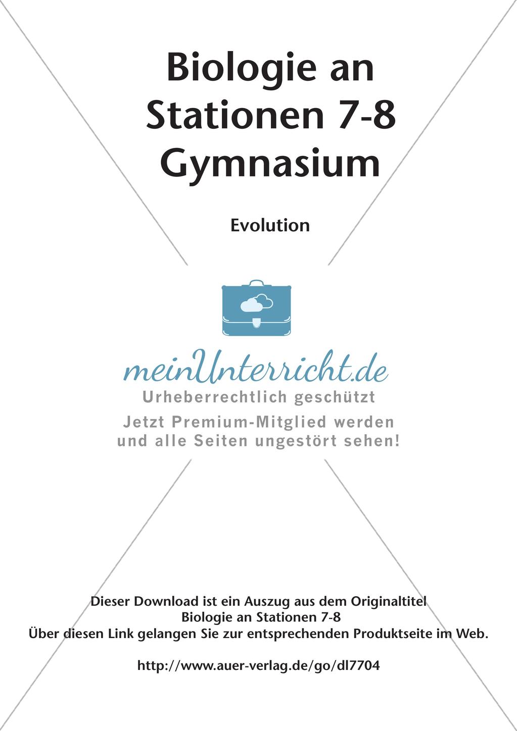 Stationsarbeit zum Thema