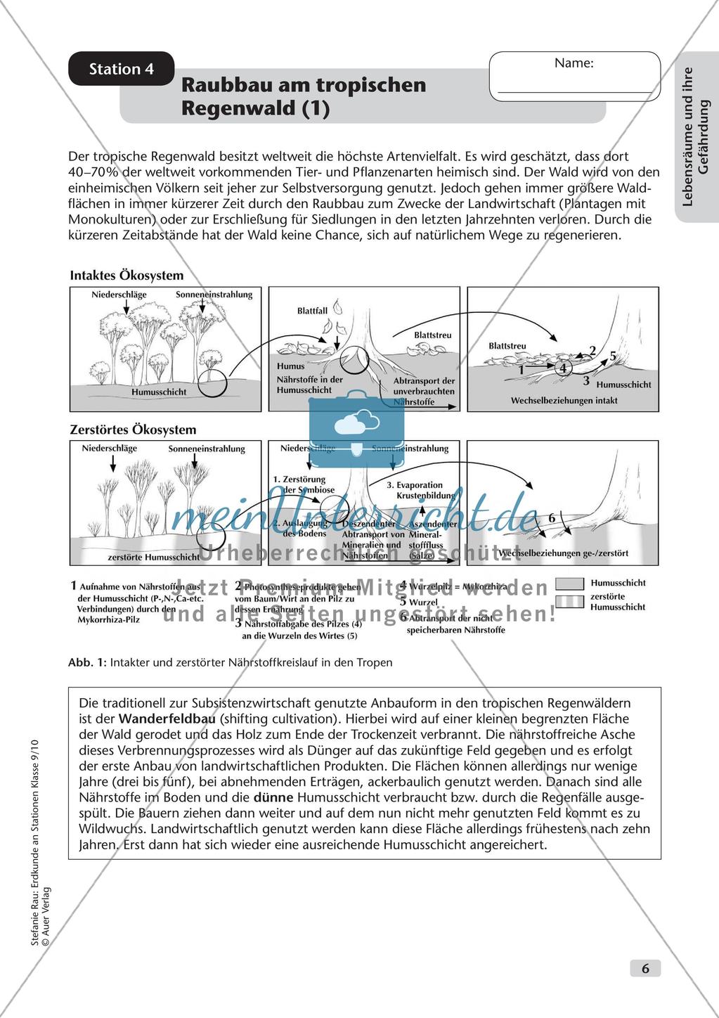 Erdkunde an Stationen: Lebensräume und ihre Gefährdung Preview 8