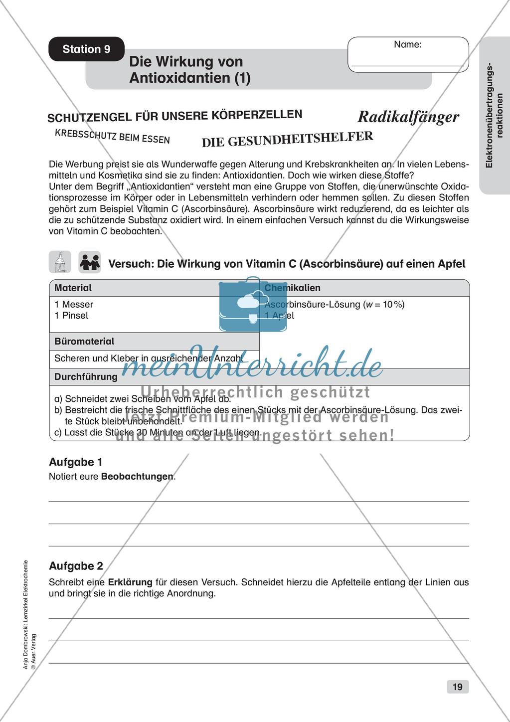 Lernzirkel Elektrochemie: Elektronenübertragungsreaktionen Preview 21