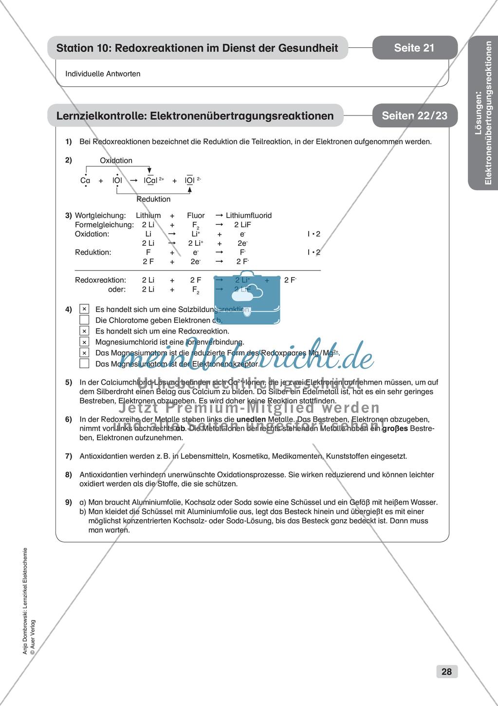 Lernzirkel Elektrochemie: Elektronenübertragungsreaktionen Preview 30