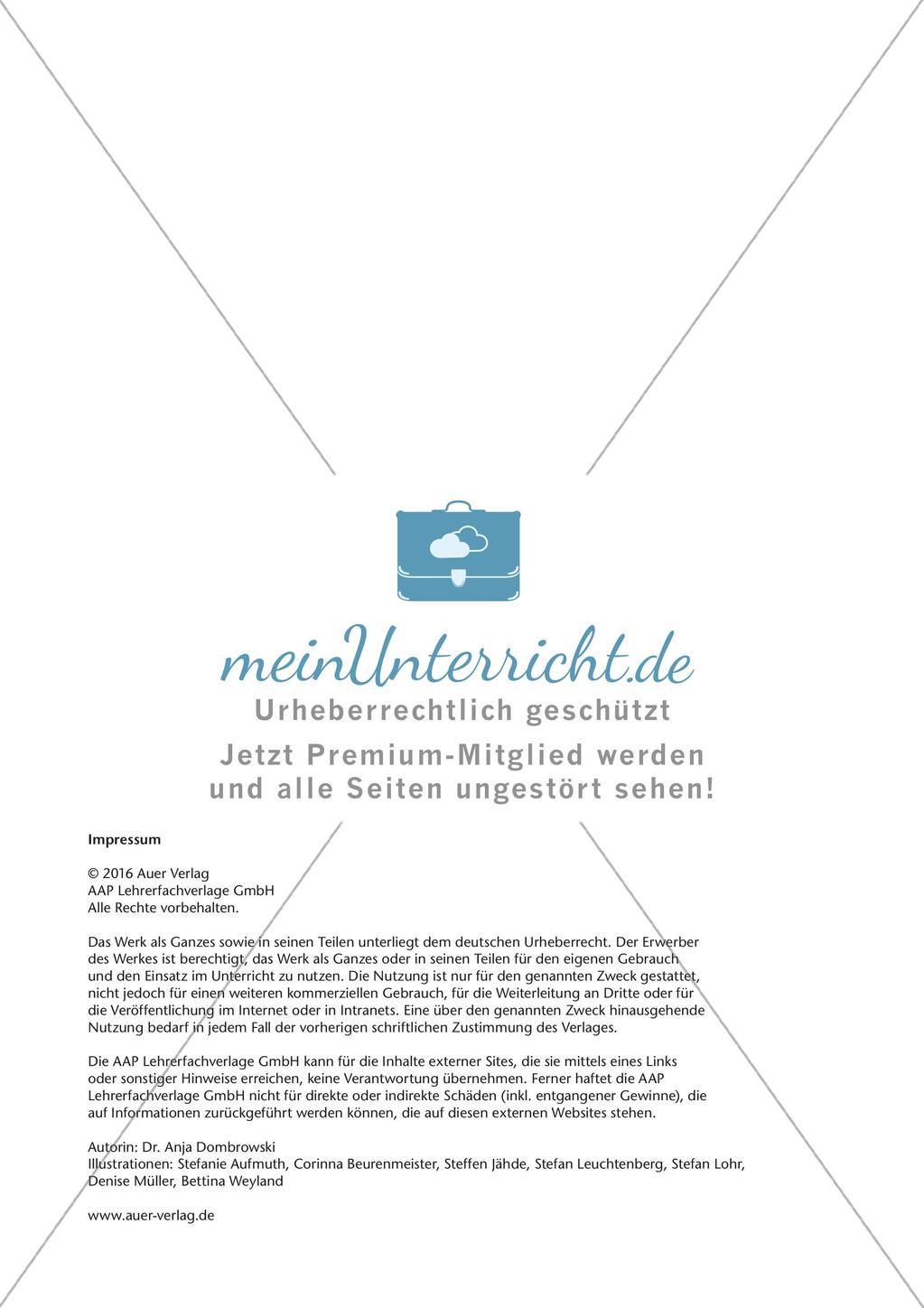 Lernzirkel Elektrochemie: Elektronenübertragungsreaktionen Preview 36