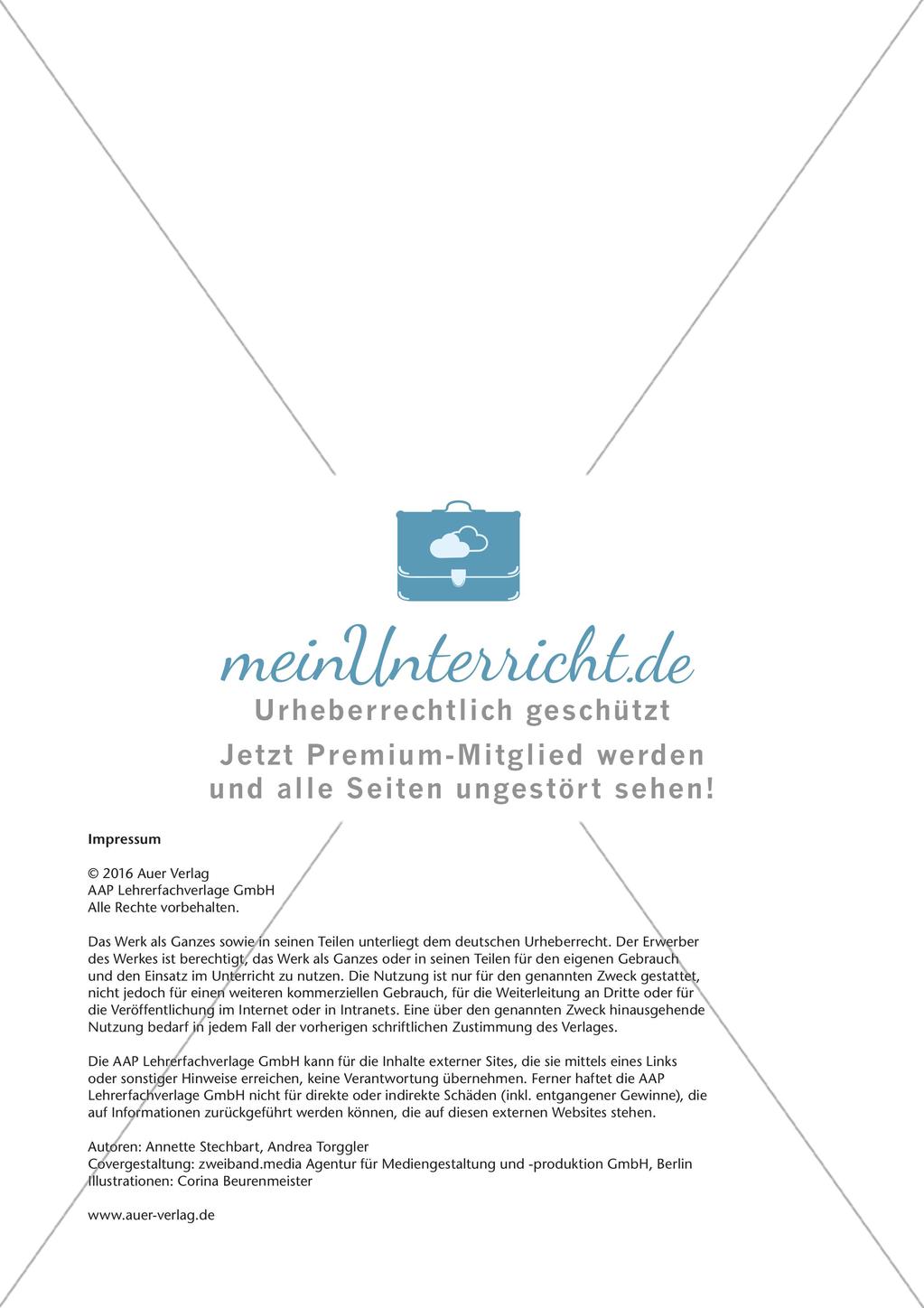Portfolio im Mathematikunterricht - Symmetrie Preview 10