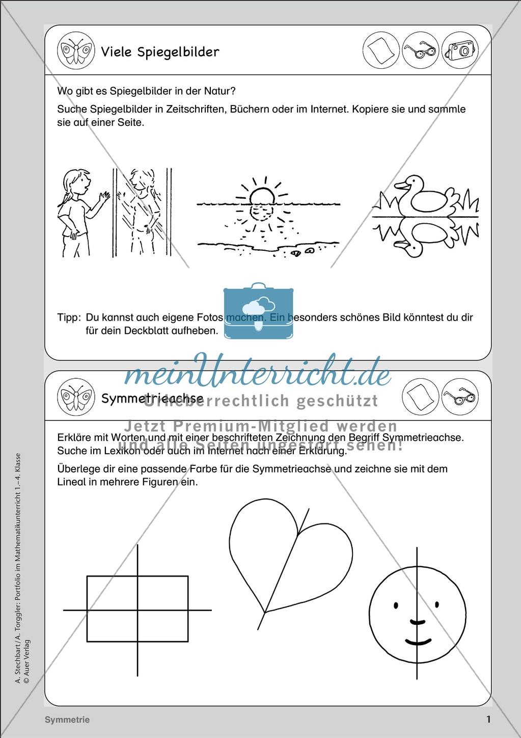 Portfolio im Mathematikunterricht - Symmetrie Preview 3