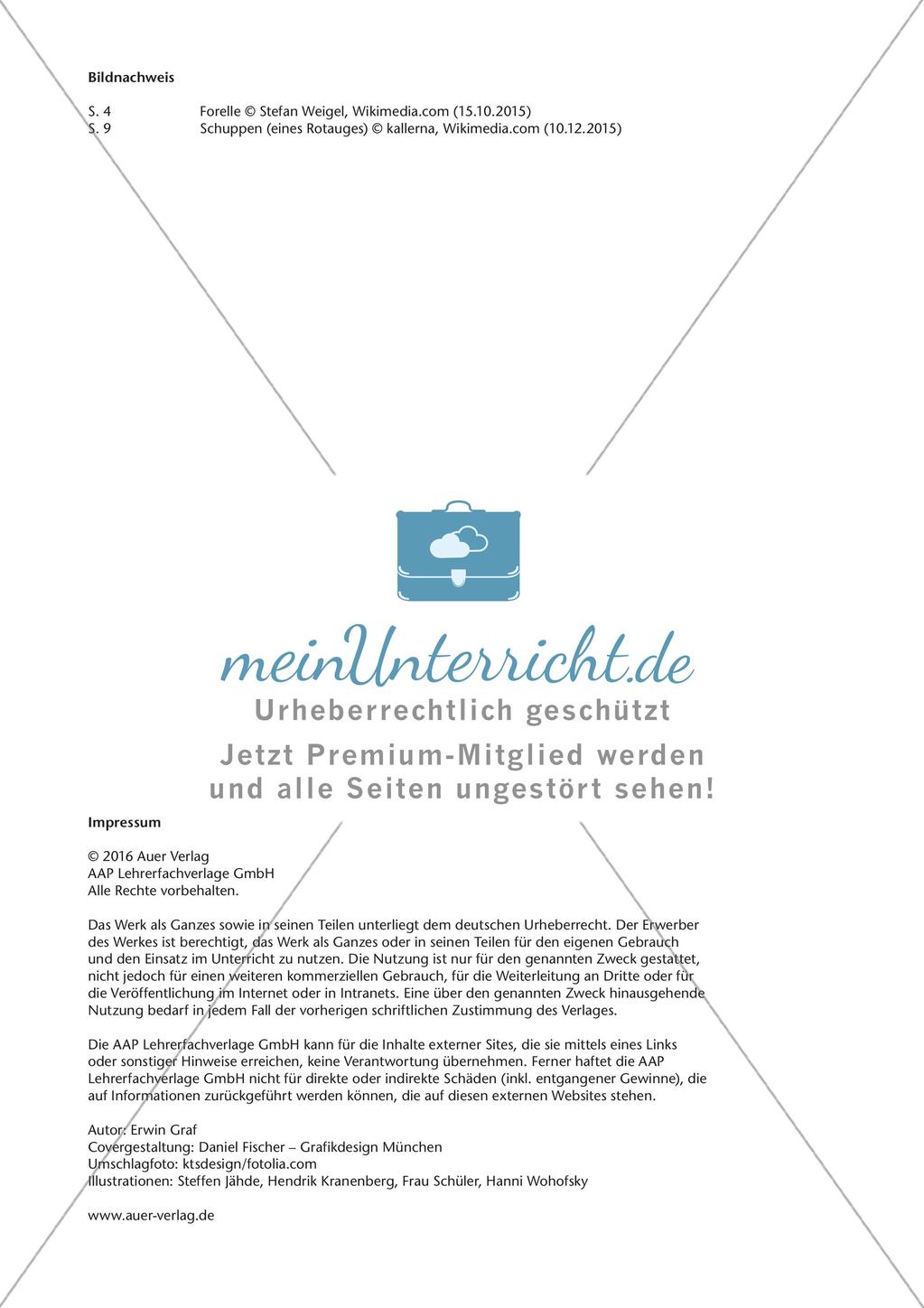 Der Körperbau der Fische Preview 13