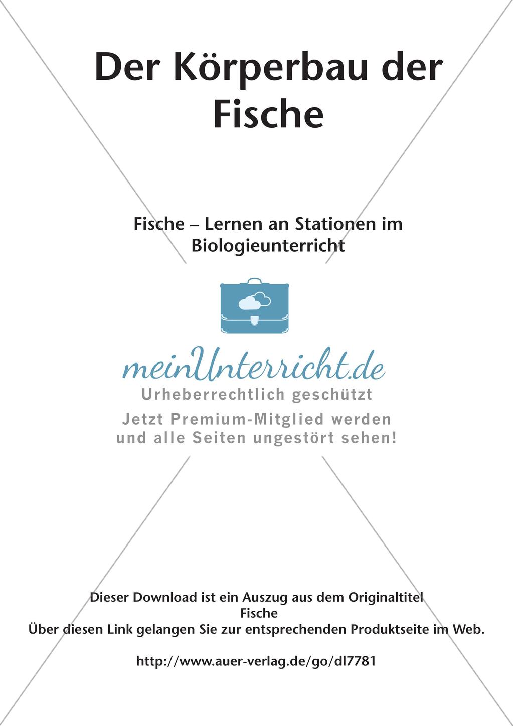 Der Körperbau der Fische Preview 2