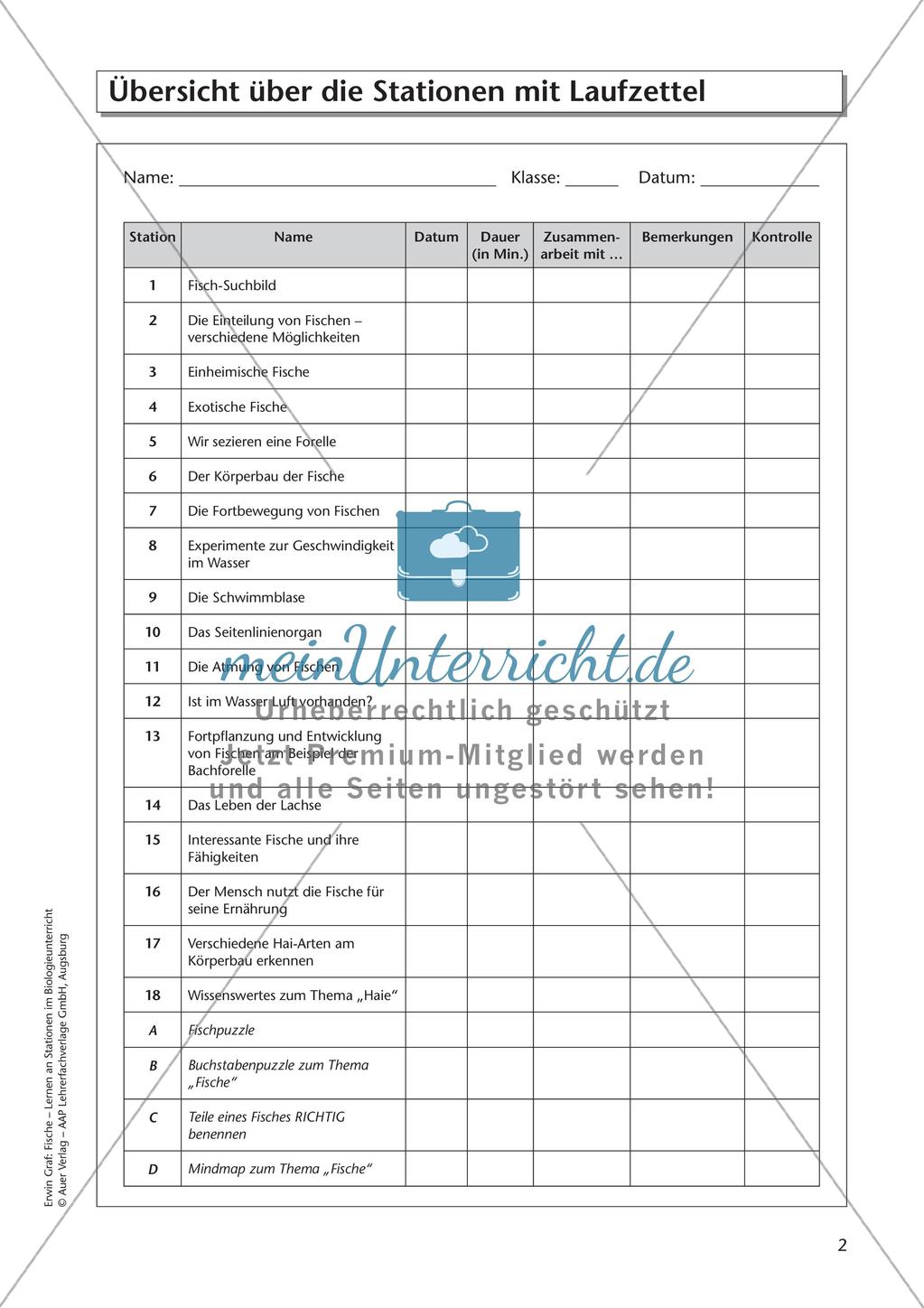 Der Körperbau der Fische Preview 4