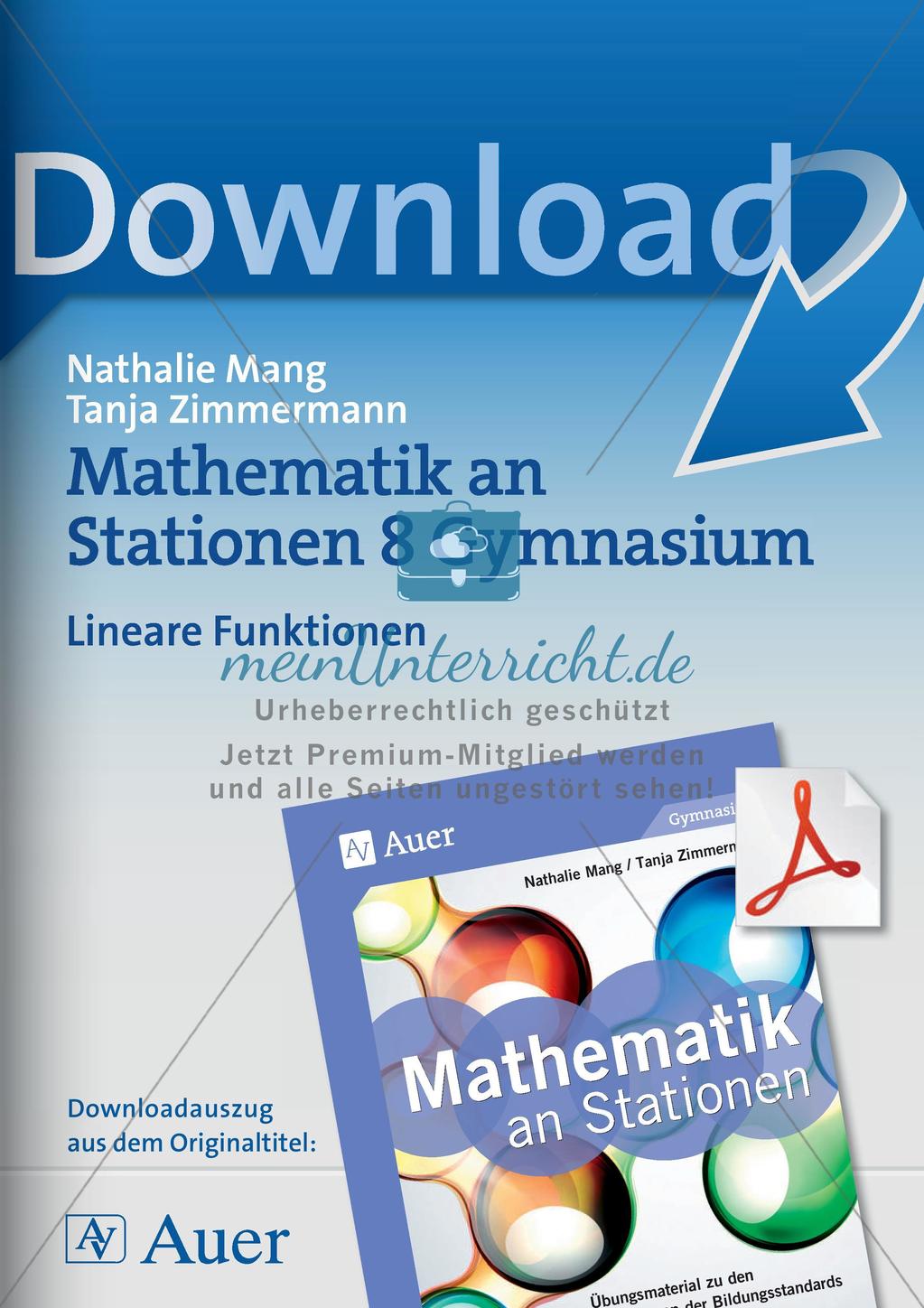 Mathe an Stationen: Lineare Funktionen Preview 1