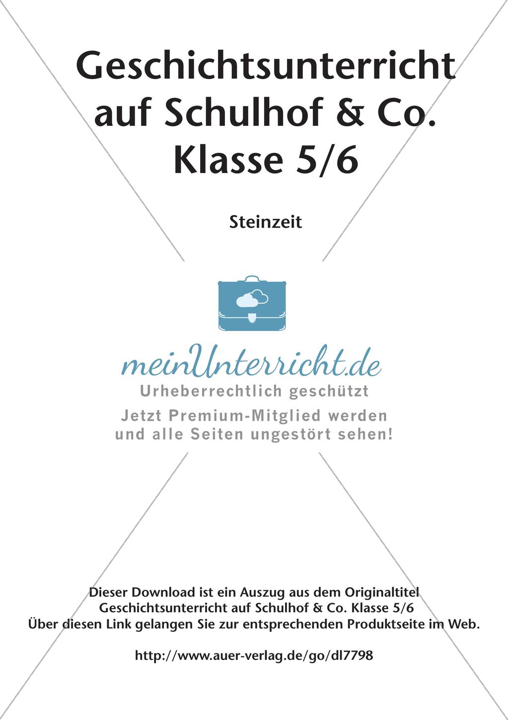 Die Steinzeit: handlungsorientiert unterrichten Preview 2