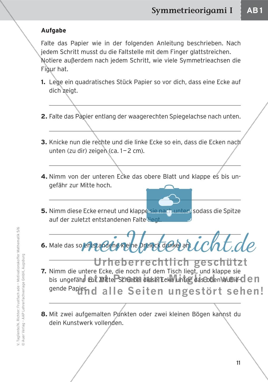 Motivierende Übungen: Spiegelungen/Verschiebungen Preview 13