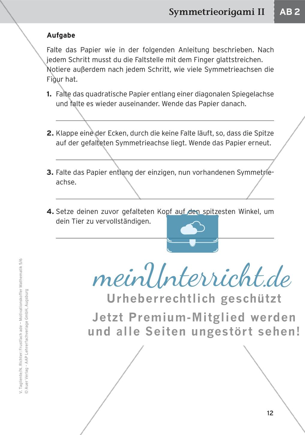 Motivierende Übungen: Spiegelungen/Verschiebungen Preview 14