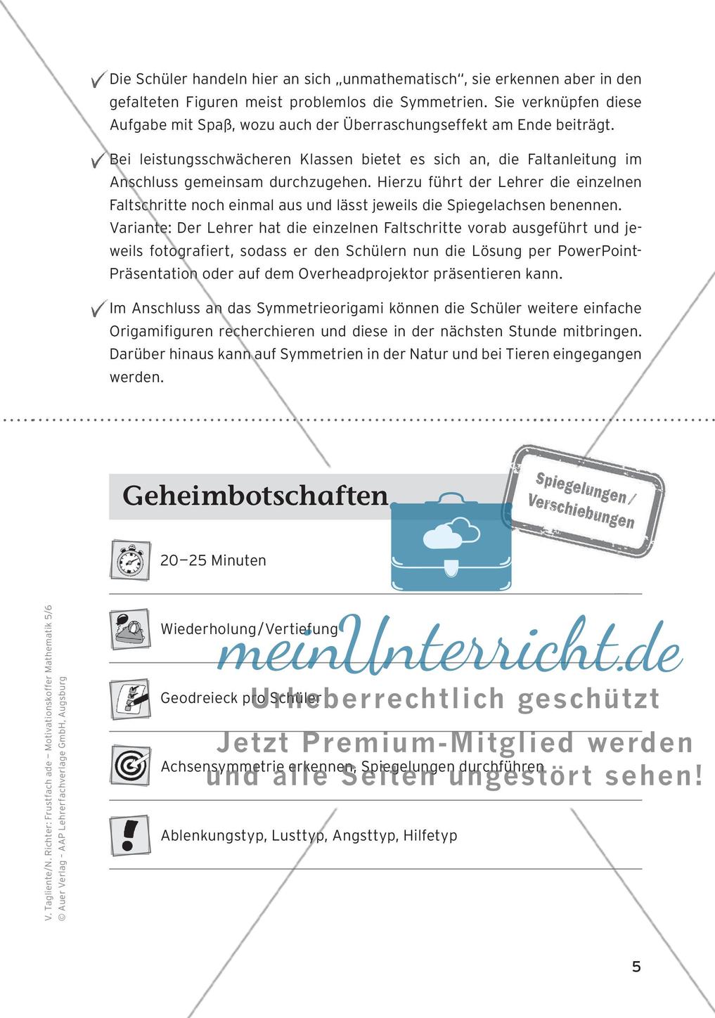 Motivierende Übungen: Spiegelungen/Verschiebungen Preview 7