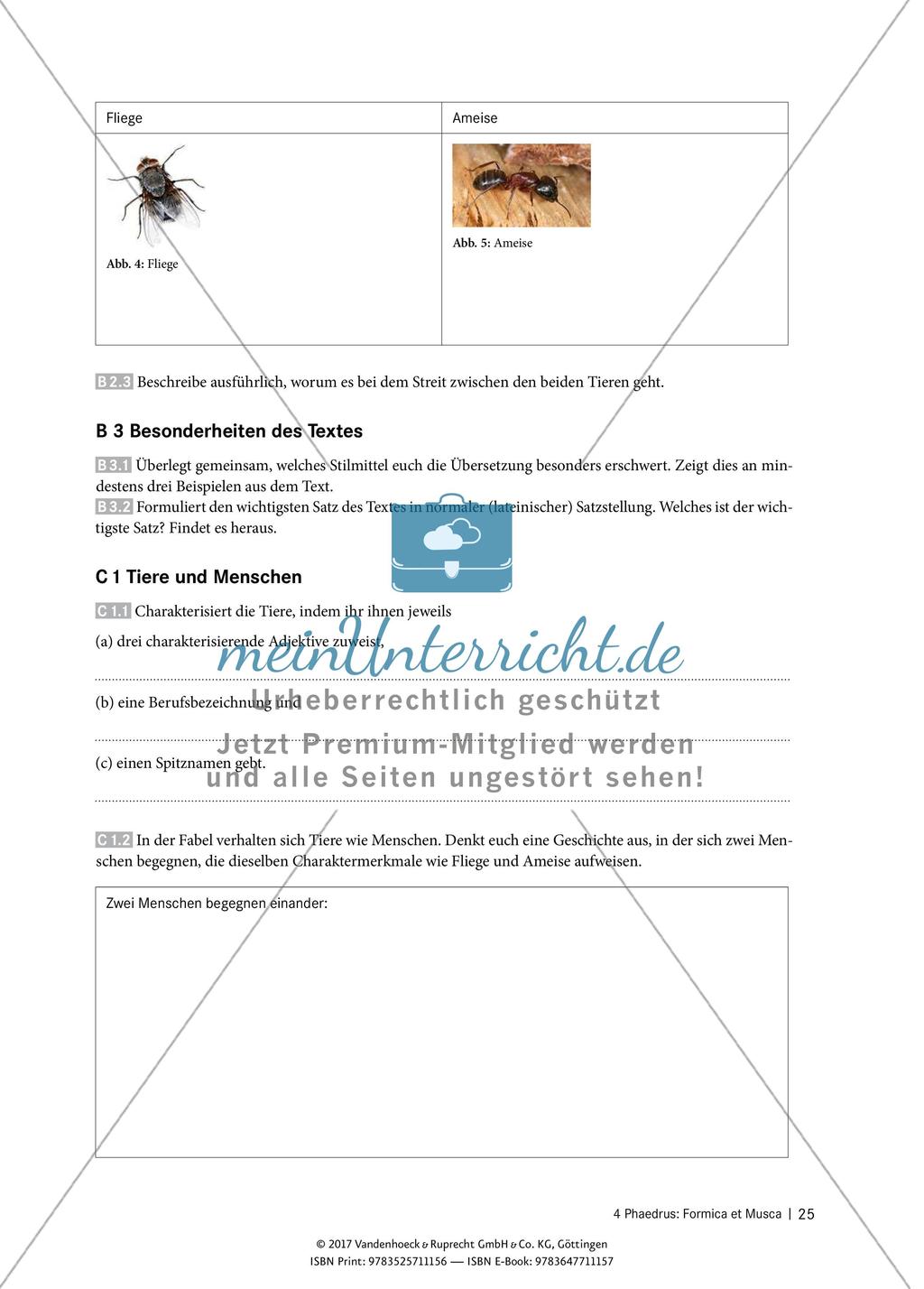 Interpretieren von Texten – Phaedrus: Formica et Musca Preview 3