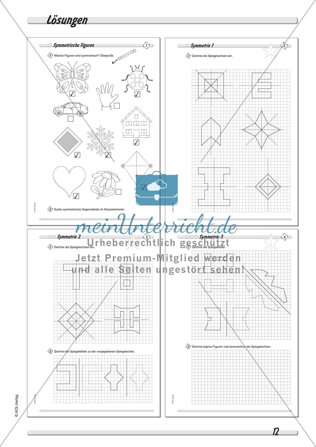 Symmetrie - Differenzierte Übungsmaterialien Preview 14
