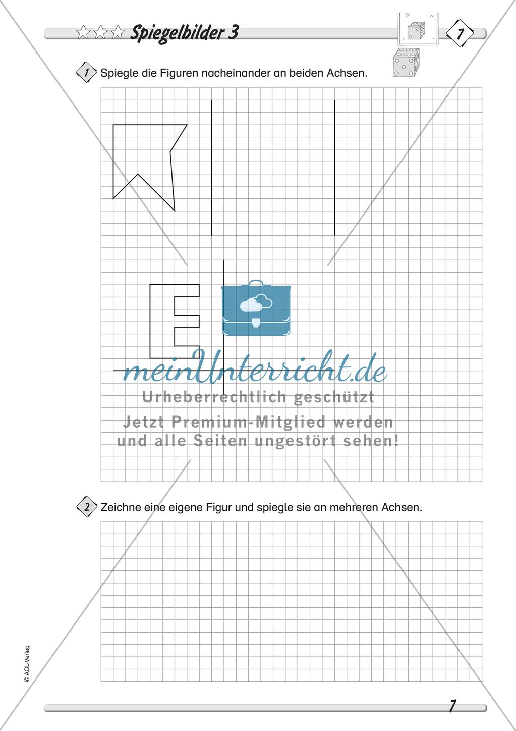 Symmetrie - Differenzierte Übungsmaterialien Preview 9