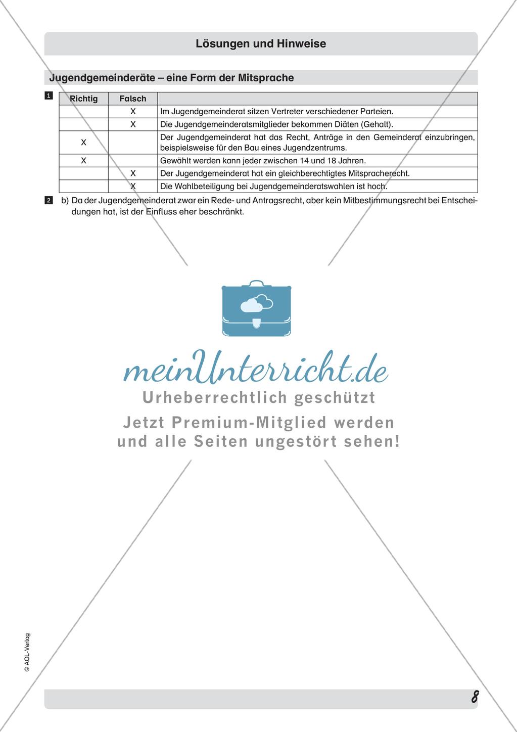Interessengruppen in der Demokratie Preview 10