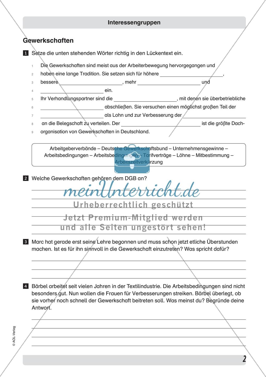 Interessengruppen in der Demokratie Preview 4
