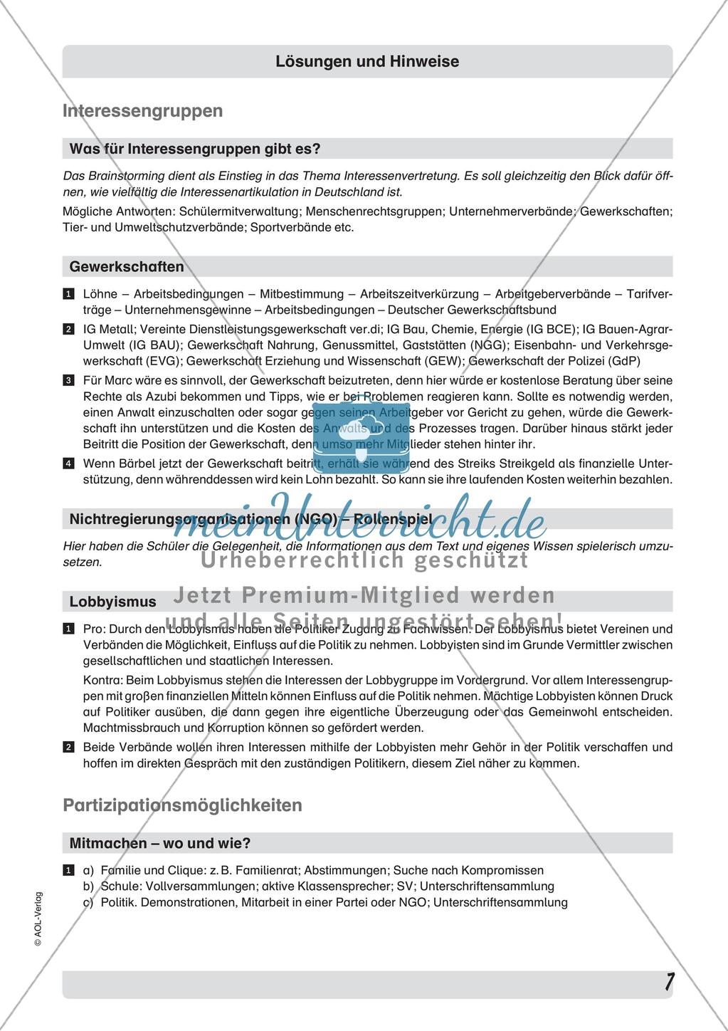 Interessengruppen in der Demokratie Preview 9