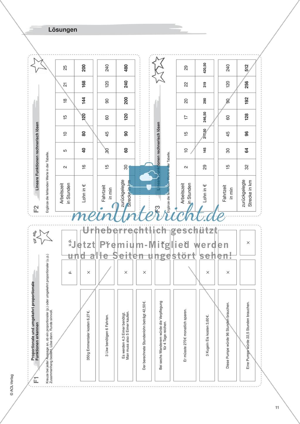 Freiarbeit: Funktionen und beschreibende Statistik Preview 13