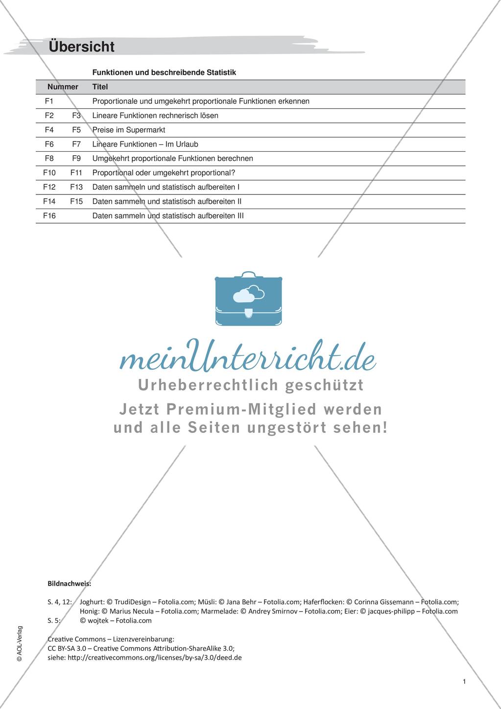 Freiarbeit: Funktionen und beschreibende Statistik Preview 3