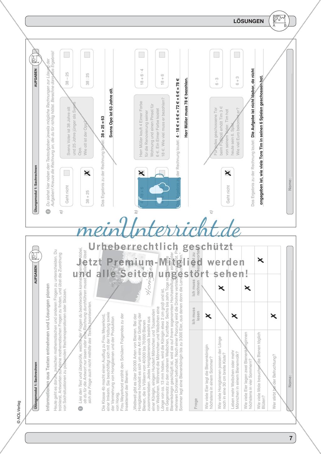 Sachrechnen: Sinnentnehmendes Lesen und Skizzen anfertigen Preview 9