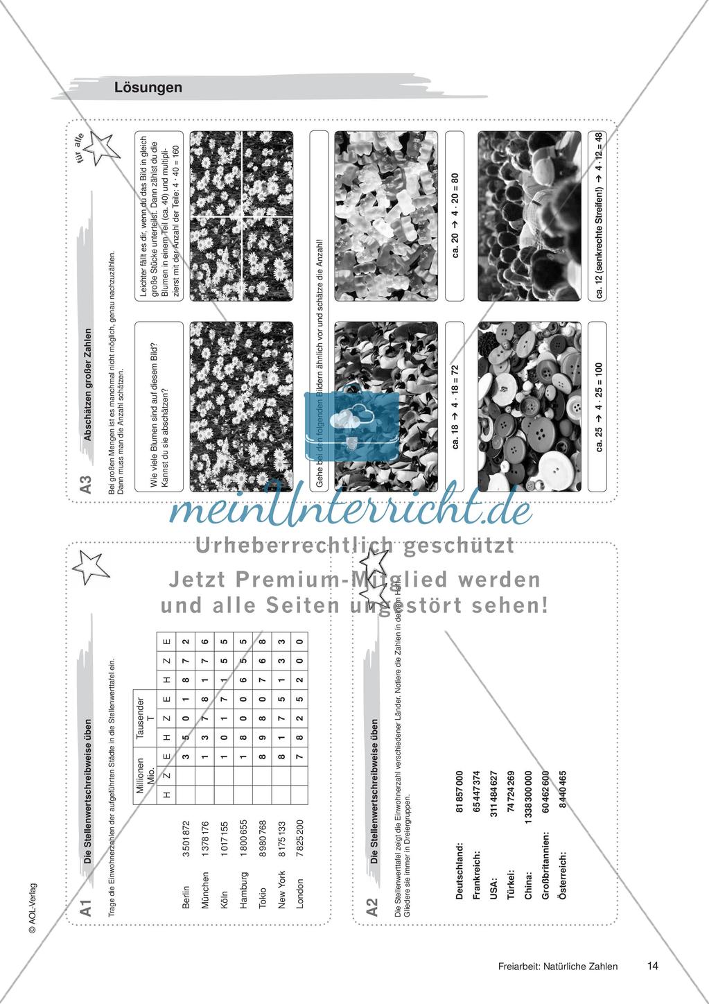 Natürliche Zahlen: Materialien in zwei Differenzierungsstufen Preview 16