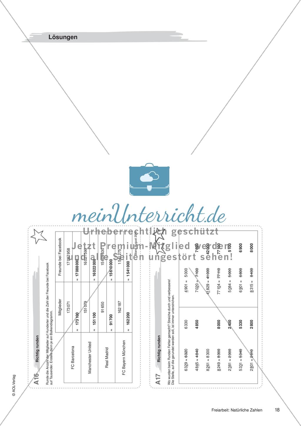 Natürliche Zahlen: Materialien in zwei Differenzierungsstufen Preview 20