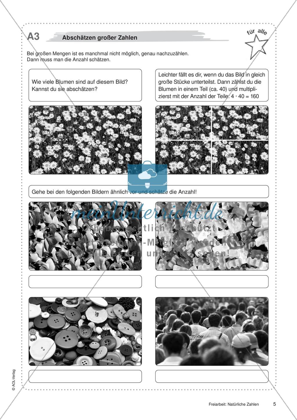 Natürliche Zahlen: Materialien in zwei Differenzierungsstufen Preview 7
