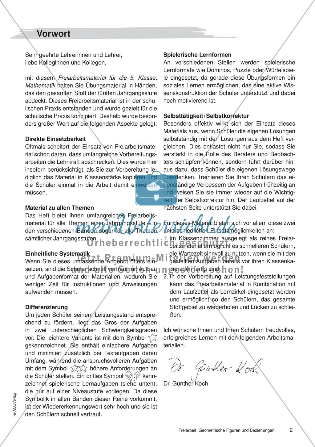 Koordinatensystem und Achsenspiegelung: Materialien in zwei Differenzierungsstufen Preview 4