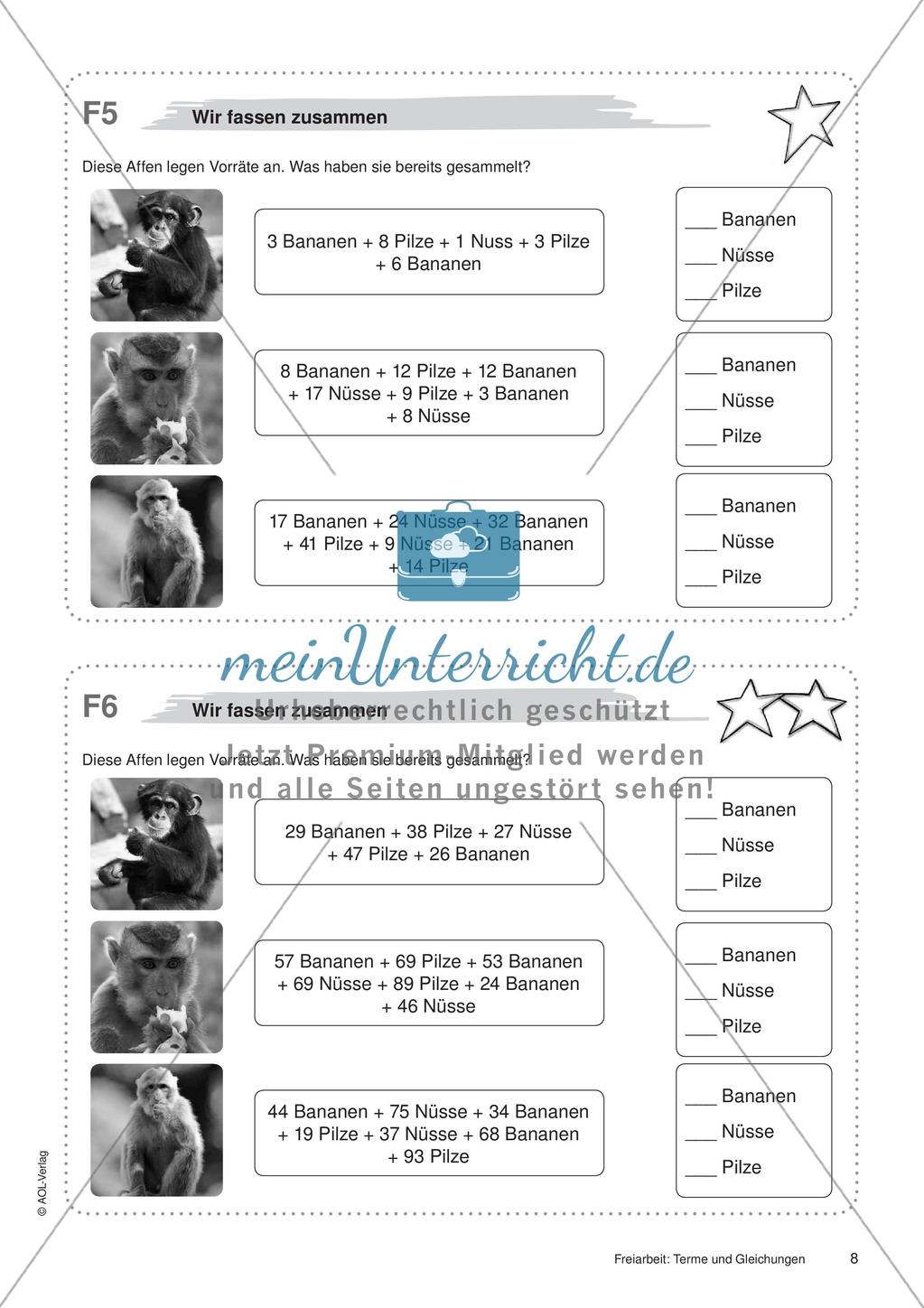 Terme und Gleichungen: Materialien in zwei Differenzierungsstufen Preview 10