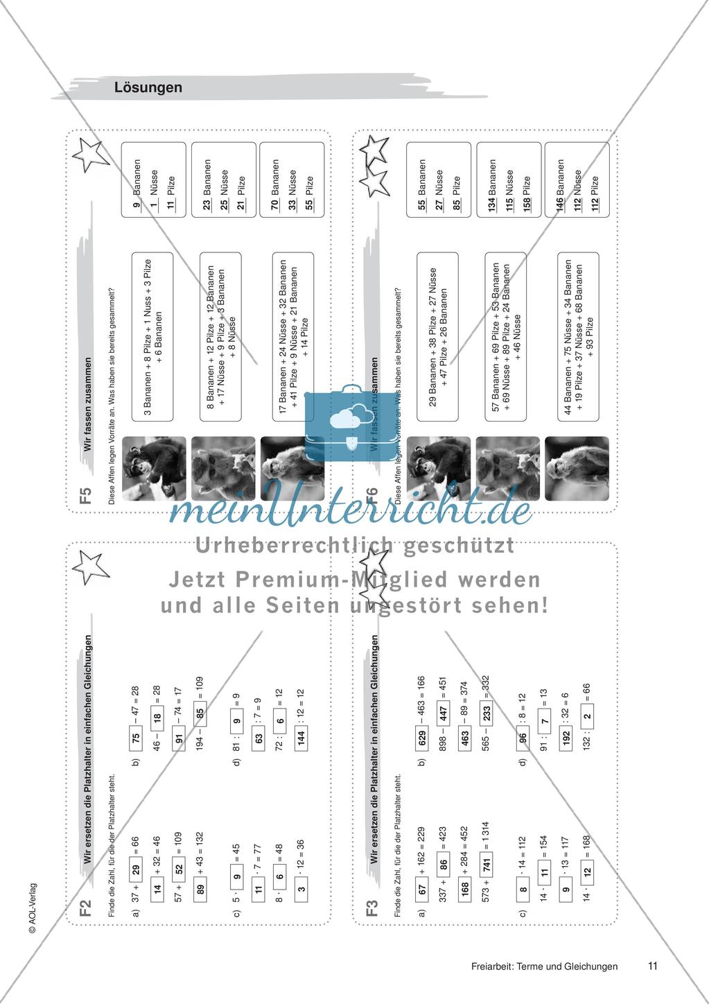 Terme und Gleichungen: Materialien in zwei Differenzierungsstufen Preview 13