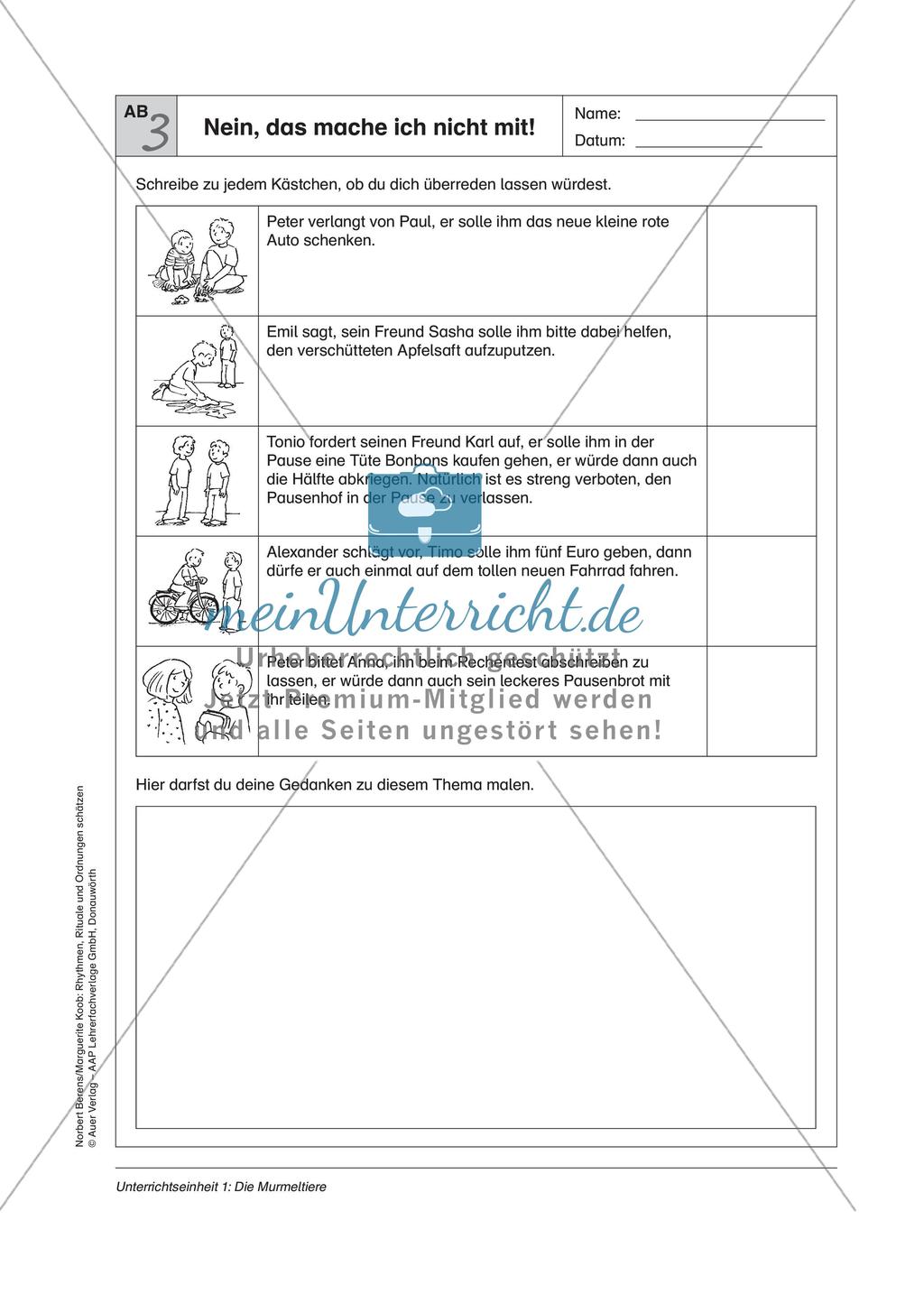 Rhythmen, Rituale und Ordnungen: Die Murmeltiere Preview 11