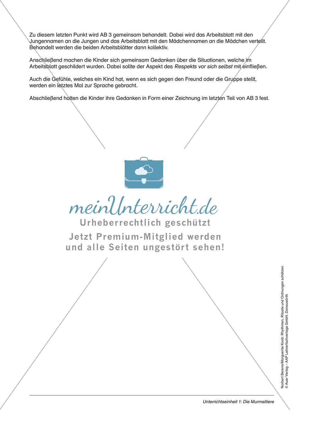 Rhythmen, Rituale und Ordnungen: Die Murmeltiere Preview 4