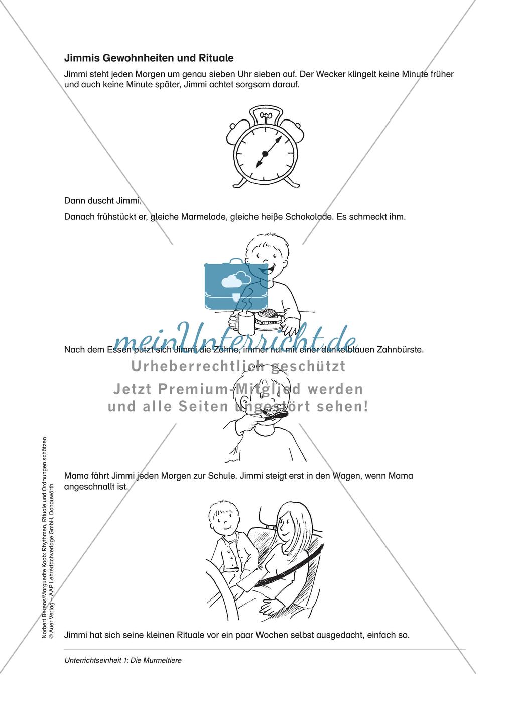 Rhythmen, Rituale und Ordnungen: Die Murmeltiere Preview 5